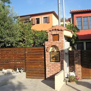Arabas 3* Szaloniki